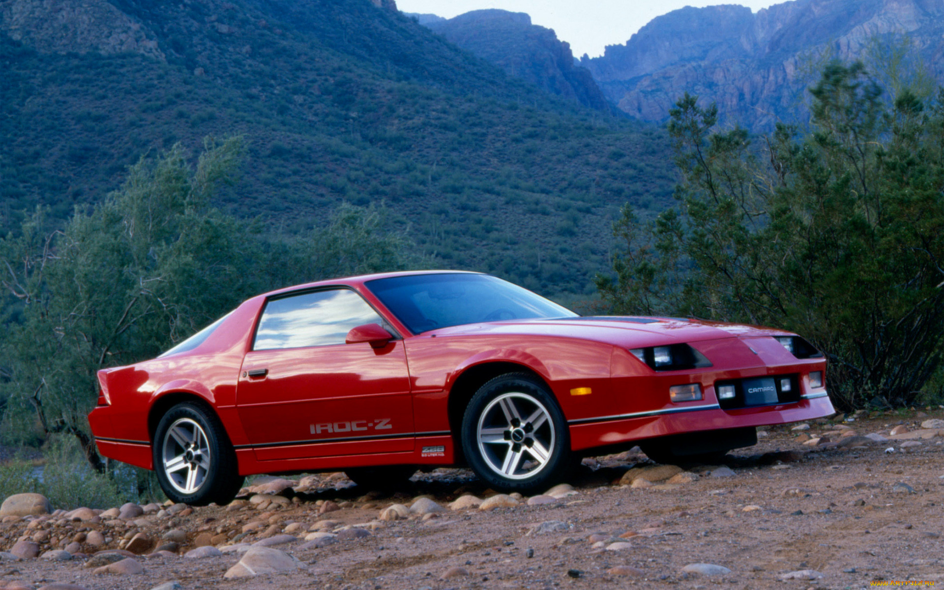 , camaro
